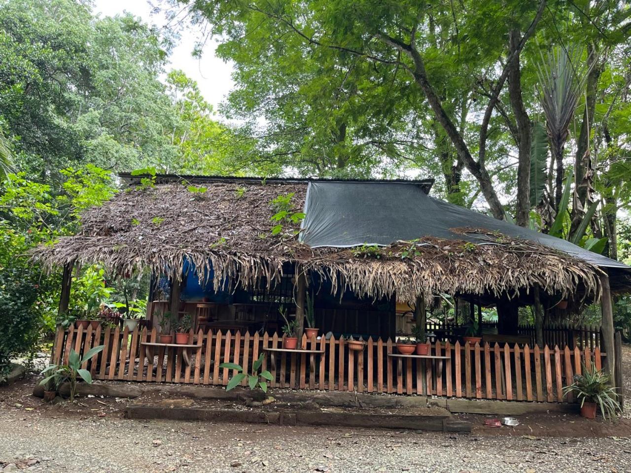 Gypsy Wagons Hotel Pavones  Exterior foto